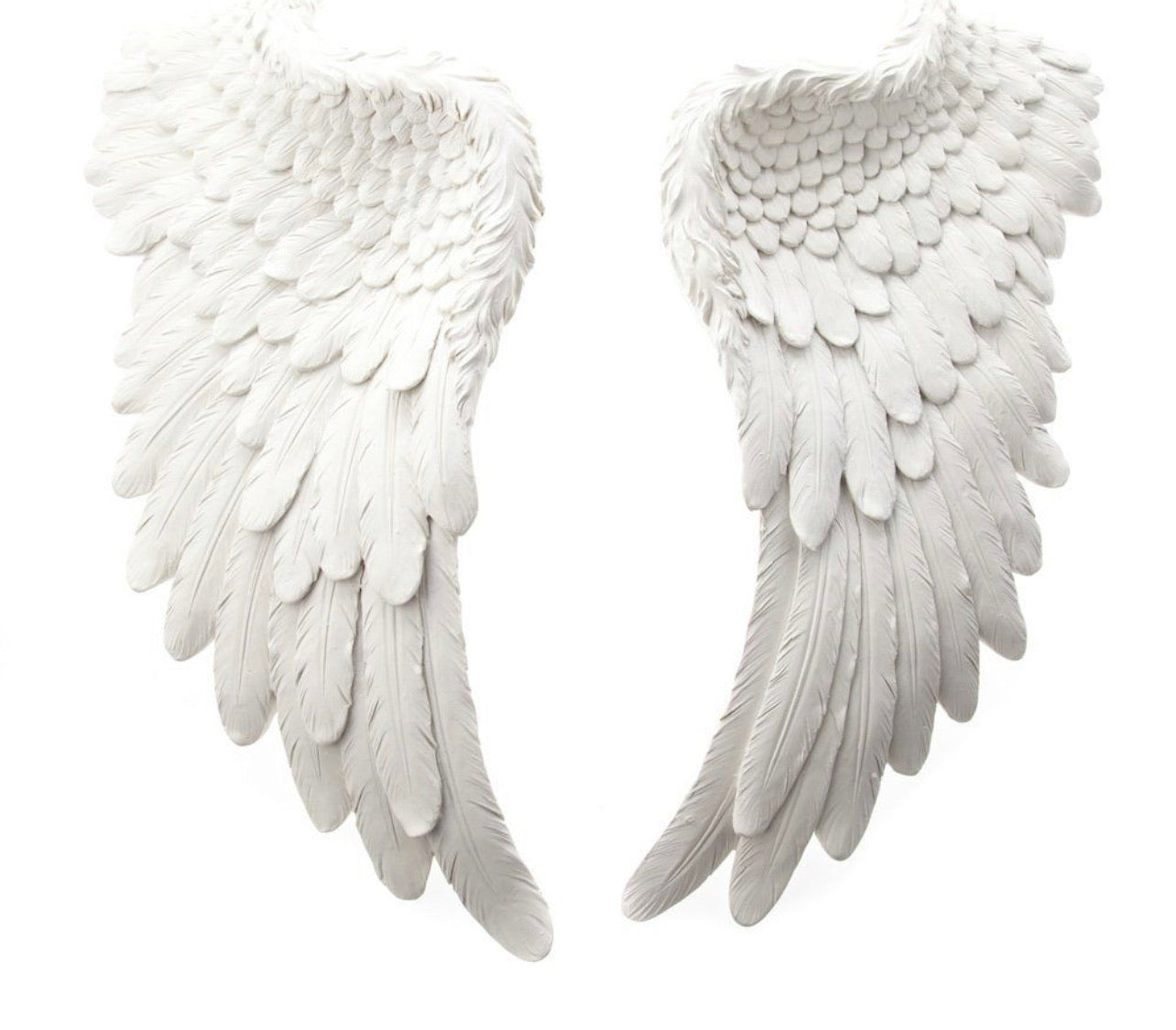 Angel Baby Fund
